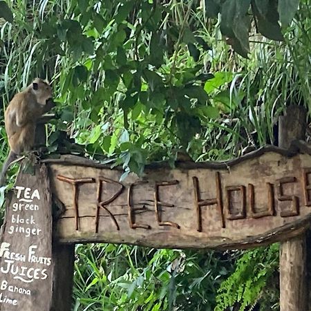 Ella Treehouse Hotel Екстериор снимка