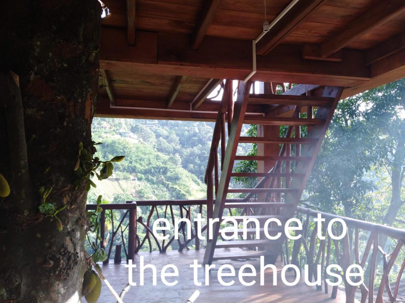 Ella Treehouse Hotel Екстериор снимка