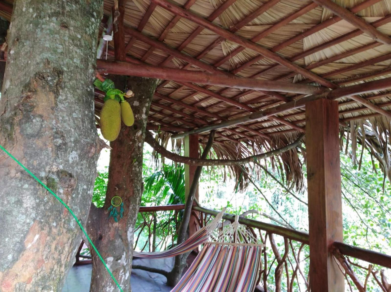 Ella Treehouse Hotel Екстериор снимка