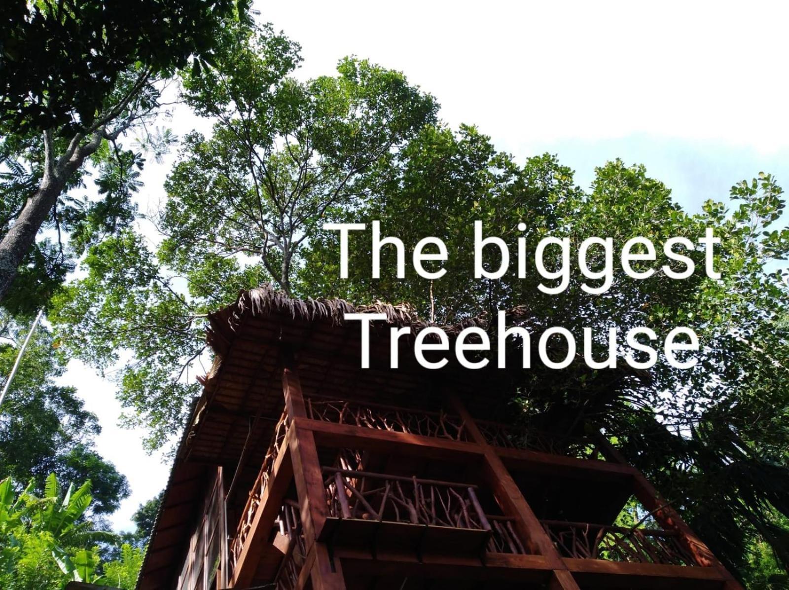 Ella Treehouse Hotel Екстериор снимка