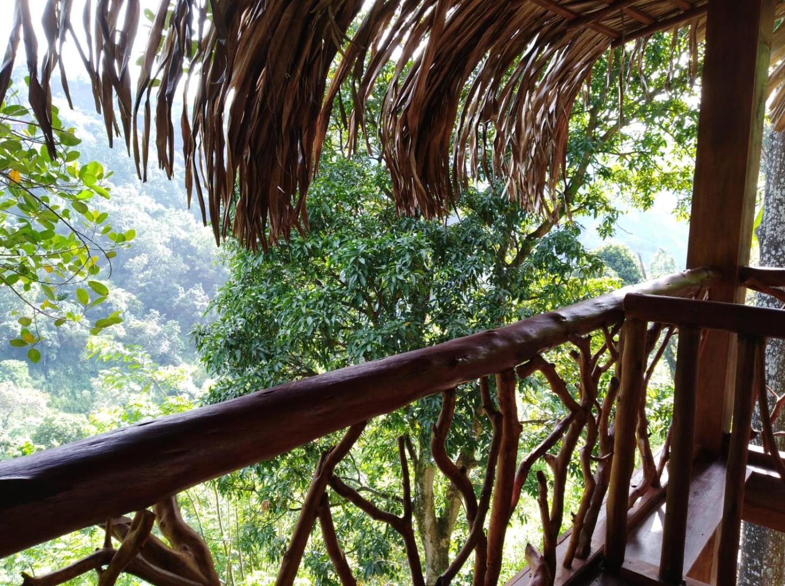 Ella Treehouse Hotel Екстериор снимка