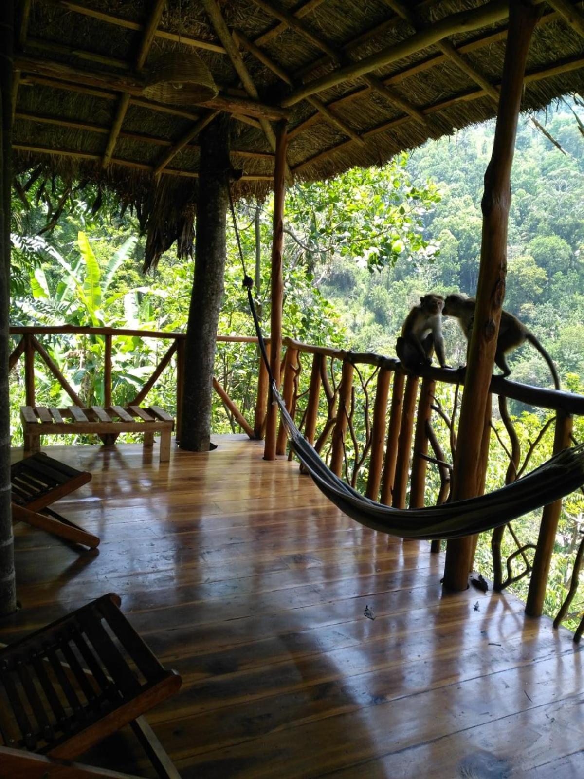 Ella Treehouse Hotel Екстериор снимка