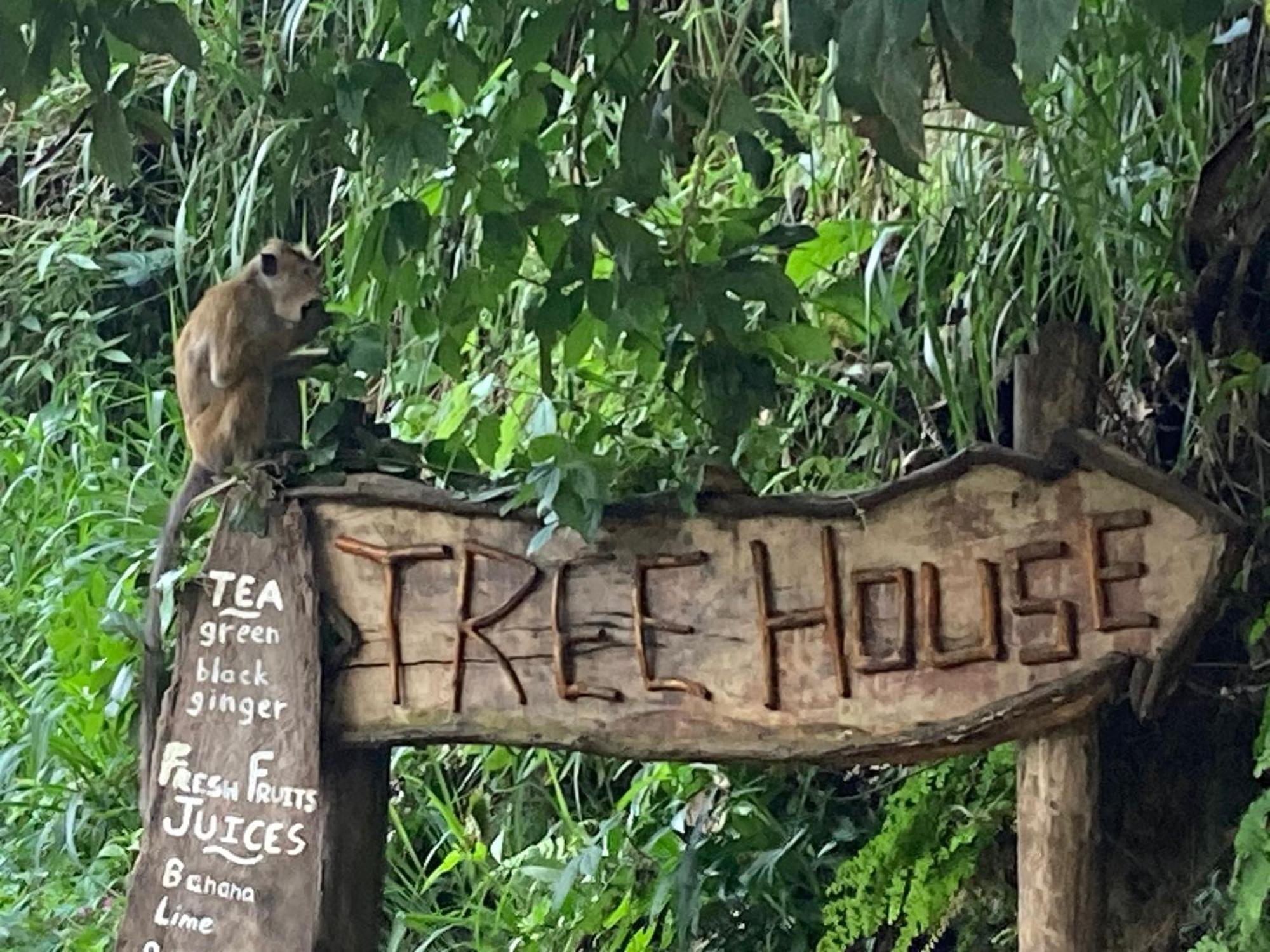 Ella Treehouse Hotel Екстериор снимка