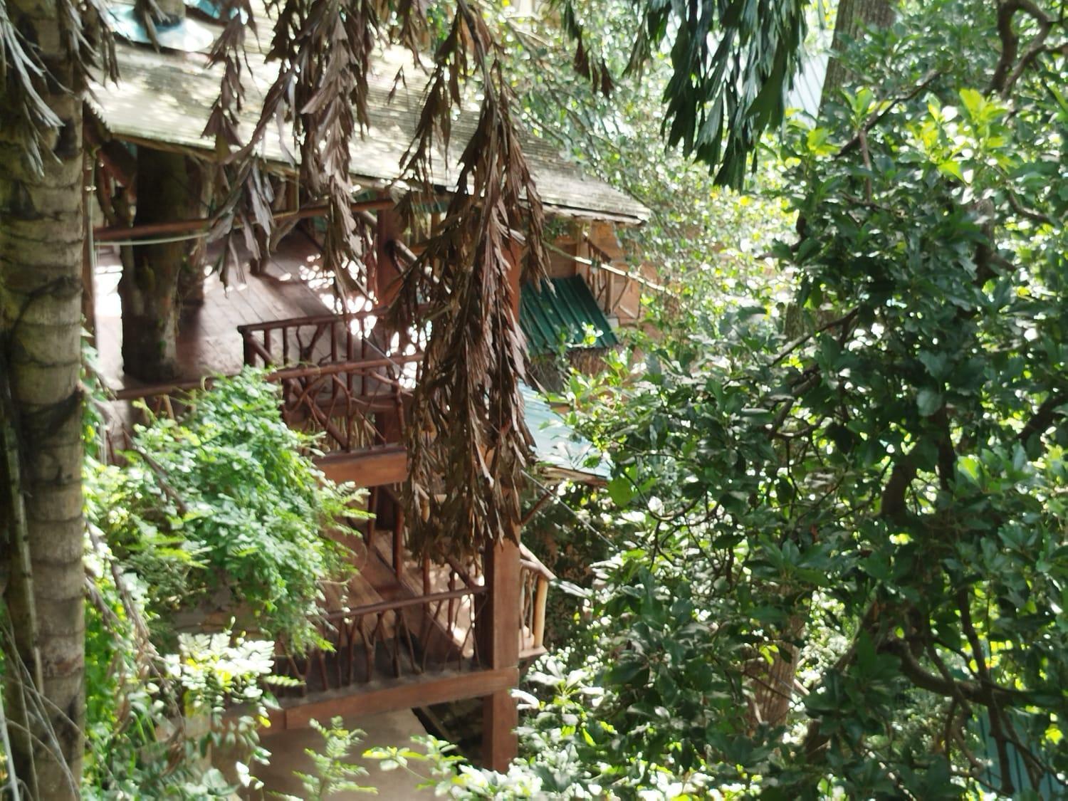 Ella Treehouse Hotel Стая снимка
